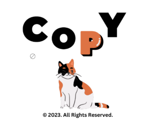 copyright and fair use